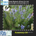 Pure Natural Rosemary Extract Rosemary Essential Oil